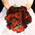 /album/menyasszonyi-csokrok/tr-bouquet-6-jpg1/