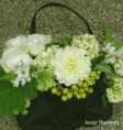 /album/menyasszonyi-csokrok/wedding-white-flowers-jpg1/
